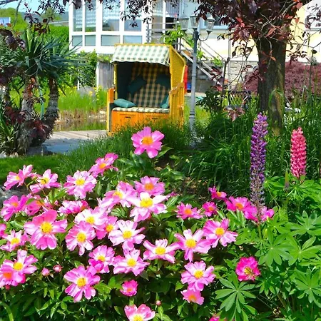 Designer Mit Kamin هارتبرج