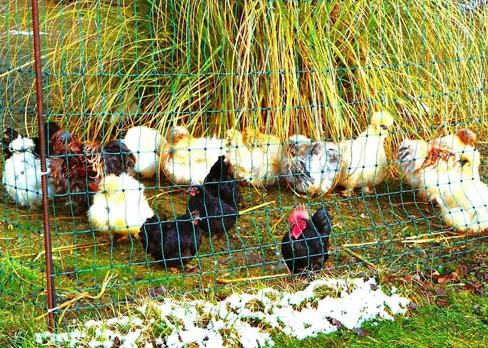 Designer Mit Kamin 公寓 *